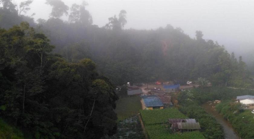 The Pines Hotel Kampung Kuala Terla Eksteriør bilde