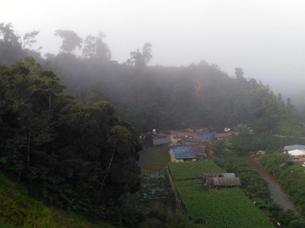 The Pines Hotel Kampung Kuala Terla Eksteriør bilde