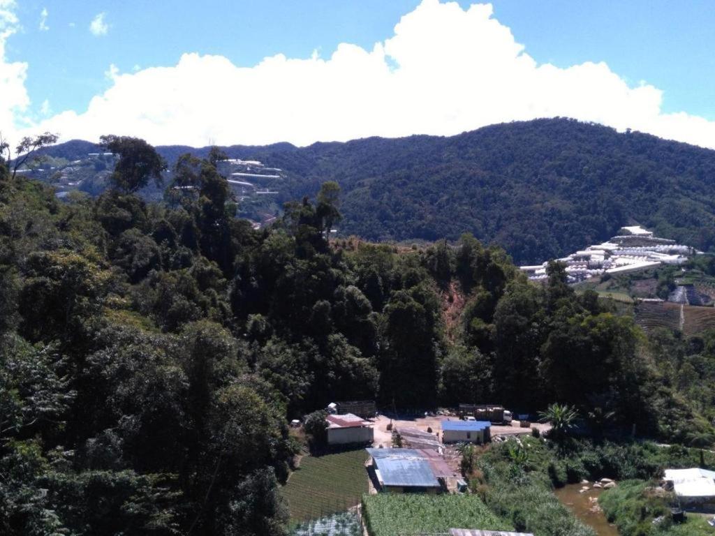 The Pines Hotel Kampung Kuala Terla Eksteriør bilde