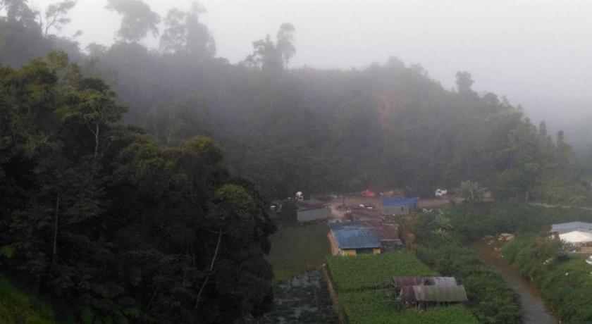 The Pines Hotel Kampung Kuala Terla Eksteriør bilde